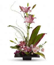 Imagination Blooms with Cymbidium Orchids
