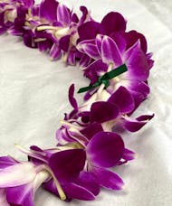Orchid Lei